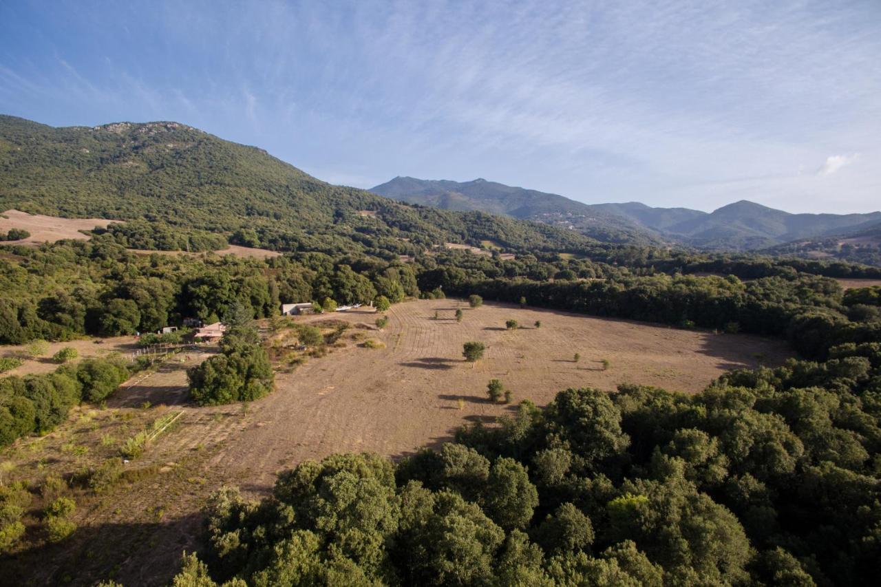Вілла Domaine Finili Cauro Екстер'єр фото