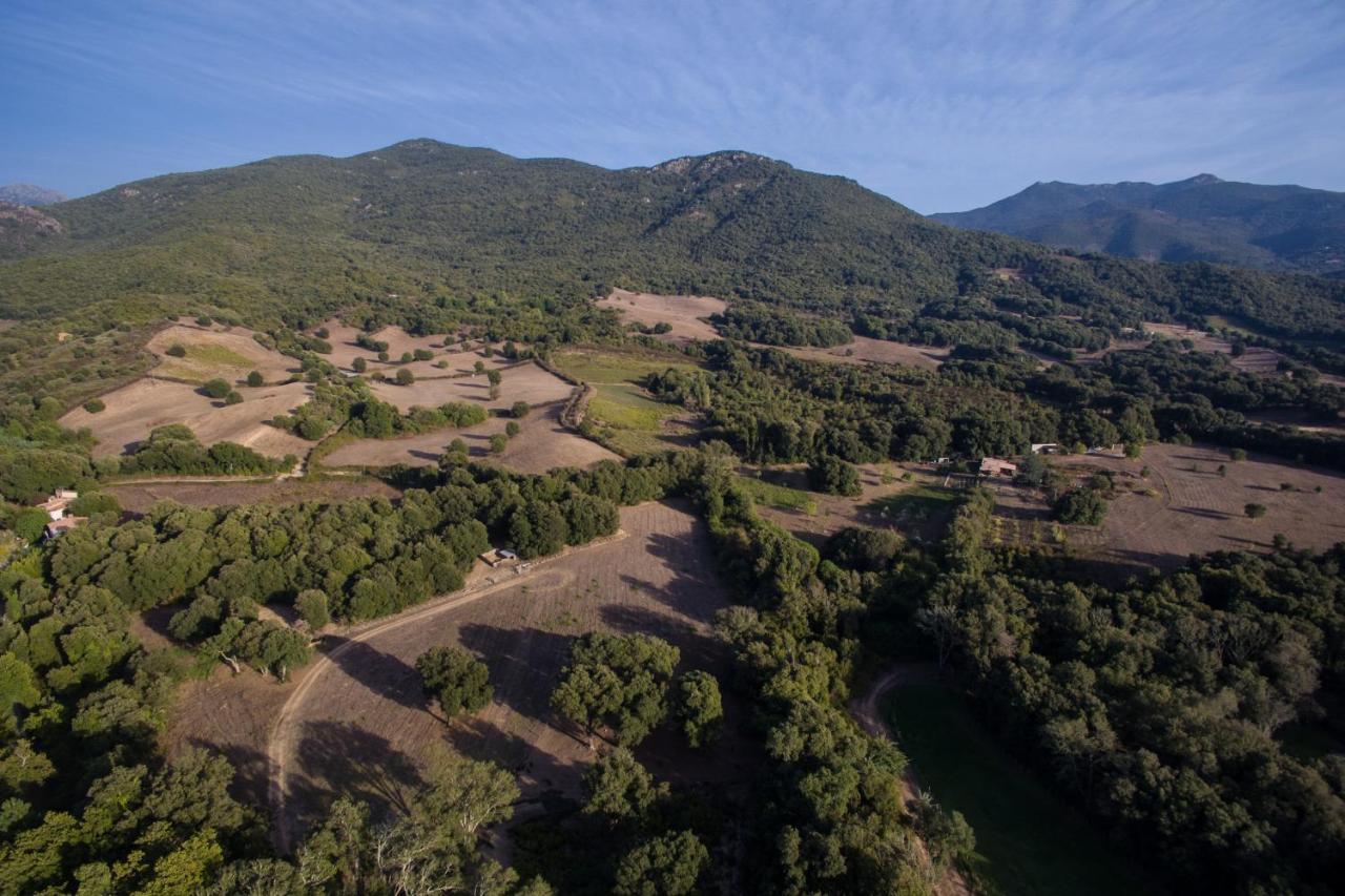 Вілла Domaine Finili Cauro Екстер'єр фото